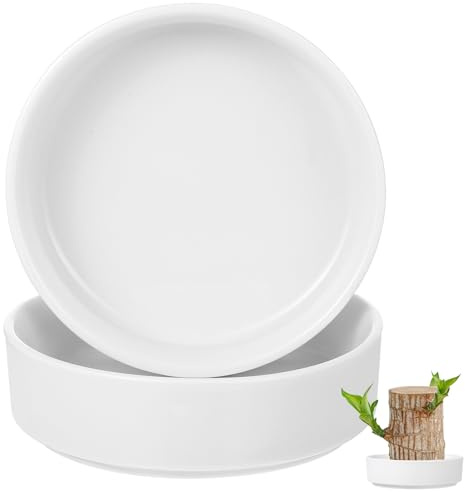 Toddmomy 2Pcs White Gloss Ceramic Saucers Plant Clay Pot Base - White Ceramic Plant Pot Saucer for Indoor Outdoor Use, Durable and Reusable