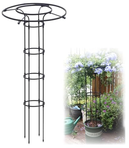 Enrejado vertical de jardín para plantas trepadoras – Jaula de soporte inoxidable para vides, rosas y glicinias – Soporte duradero para plantas al aire libre para flores y decoración de jardín