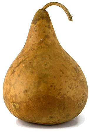 Gourd, Purple Martin, Dried and Ready for Crafting