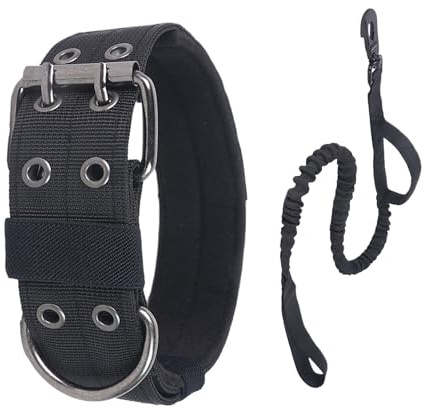 Collier pour Chien Robuste - Accessoires De Traction Large pour Animaux De Compagnie avec Laisse,Collier Épais pour Chien | pour l'exercice, Le Dressage, La Promenade, Et Les Activités Extérieures