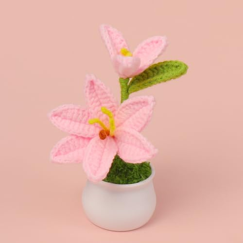 zbstream Crochet Flowers, Handmade Crochet Knitted Plant Lily Artificial Lily Flowers Gift to Family and Friends, Home Wedding Office Desk Cafe Decoration (Light Pink, 2pcs)