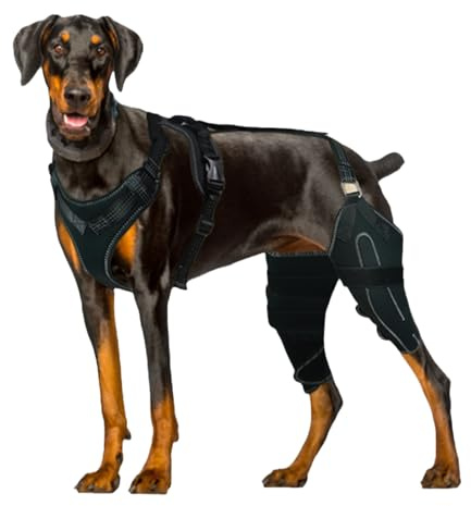 Hunde-Kniebandage – sicheres Gurtbefestigungssystem, flexibles Polyester-Material-Design, gezielte Kompressionsstabilisierung, Bandzugentlastung, konturierte Gliedmaßenbandage, für Tierärzte