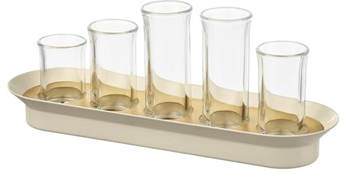 Set of 2 Glass Propagation Station Set with Metal Tray, Clear Glass Vases with Ivory Gold Base, 5 Piece Plant Cutting Display Set, 10.25 Inch Length