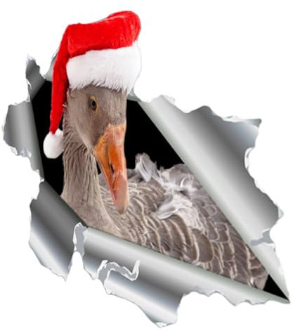 GLEAVI Magnetischer Enten Autoaufkleber Lustiger Dekorationsaufkleber Für Kühlschränke Und Vielseitig Einsetzbar Wasserfest Und Langlebig Für Fahrzeuge Und Persönliche Gegenstände