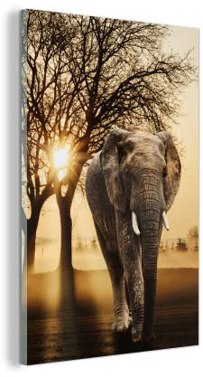 MuchoWow Glasbild Glasfoto Wandbild Bilder Deko 40x60 cm Elefant - Baum - Sonne