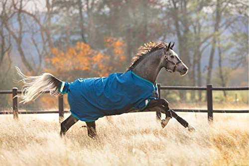 Horseware Ireland Rhino Original Pferdedecke (0 g Lite), Größe: 81, Farbe: Marineblau (Grau/Aqua Trim)