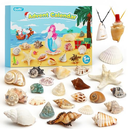 Calendario de Adviento 2025 para niños, 24 días, calendario de adviento de Navidad, cuenta regresiva, conchas, calendario de Adviento, regalos de Navidad para 6, 7, 8, 9, 10, 12 años
