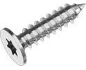 Stabdeckschraube Torxantrieb Flach-SEK VPE 15 ARBO-INOX