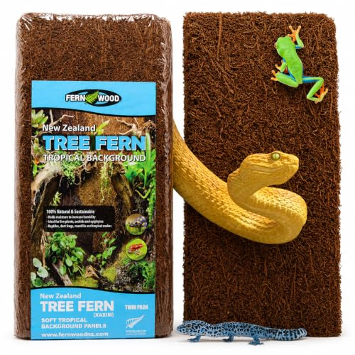 Fernwood Vivarium and Terrarium Background Panels- Made from New Zealand Tree Fern | Natural and Fibrous | for Reptile Tank Backgrounds and Vivarium Backgrounds| 12x6x.06