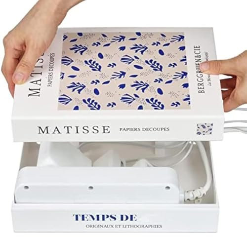 zjhukfmc Scatola Per La Gestione Dei Cavi - Scatola Nascondi Cavi A Di Libro Decorativa Protettiva Per Supporto TV Router Stazione Anti-Pet Pavimento Garage,Scatola Protettiva Per Pavimento Con Design