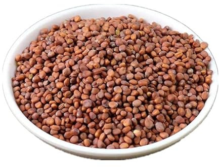 Zercumm 500G Radish Seeds