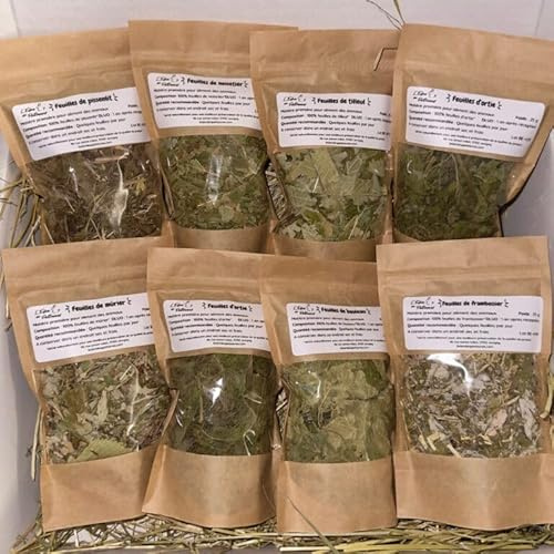 L'Eden des Pattounes - Box Feuilles - Friandises Naturelles pour Lapins et Rongeurs - 8 Variétés : Pissenlit, framboisier, Bouleau, Tilleul, ortie, mûrier, noisetier, Pommier - 8 Sachets de 25g
