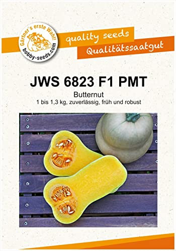 Bobby-Seeds Kürbissamen JWS 6823 F1 Portion