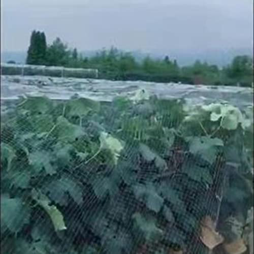 ZJMAMA Grillage Plastique Filet Anti-Oiseaux pour Jardin, Filets Barrière en Nylon Blanc pour La Protection des Plantes Cultivées dans Les Arbres, Filet Volaille pour Le Contrôle des Animaux