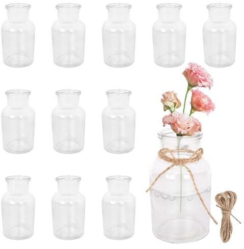 12 Stück Kleine Glasvasen Set, 125ml Mini Vasen mit 5m Juteschnur, 10.3cm Hoch Blumenvasen Vase Deko Kleine Vasen für Tischdeko Zuhause Hochzeiten Geburtstage Feste - Spülmaschinenfest