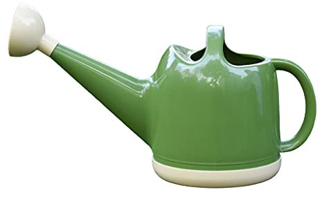 Arrosoir L'arrosage peut for les plantes intérieures, 4L / 10,6 gallons d'arrosage de gallon avec une pomme de douche amovible for des plantes de maison intérieure extérieure, une fleur de jardin déco