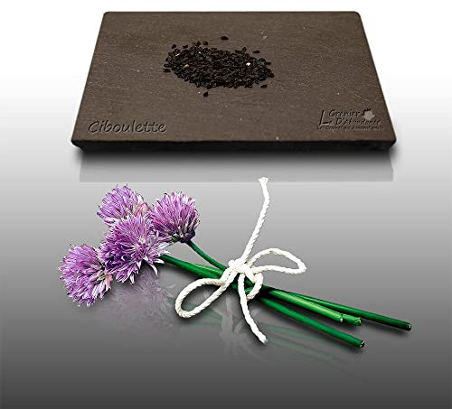 150 graines Aromatiques à semer - Le Grenier d'Abondance - CIBOULETTE - Allium schoenoprasum