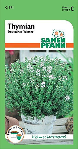 Samen Pfann G991 Thymian (Thymiansamen)