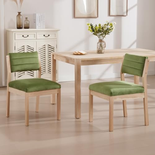 chairus 2er Set Samt Esszimmerstühle für Küchen Vintage Polsterstuhl Küchenstuhl mit Massivholzbeinen für esszimmer Wohnzimmer (Grün)