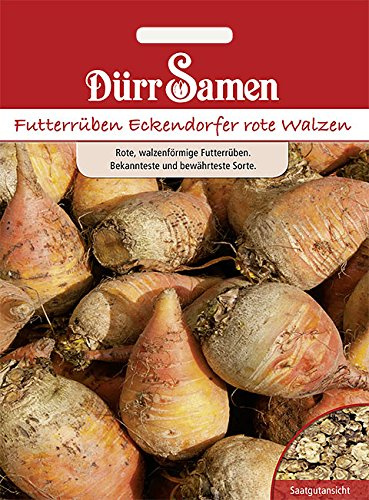 Dürr-Samen - Futterrüben Eckendorfer rote Walzen Saatgut