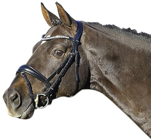 Euroriding La Rochelle ohne Zügel schw. schwarz - WARMBLUT
