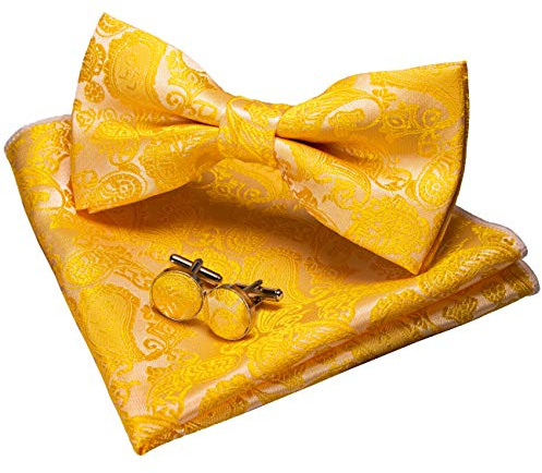 JEMYGINS Paisley Fliege und Einstecktuch mit Manschettenknöpfe Sets für Herren