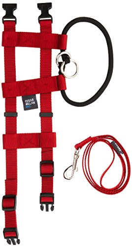 Original Illusion Collar Trainingshalsband & Leine des amerikanischen Hundeflüsterer Cesar Millan, Large