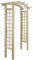 GOTOTOP Arche grillagée pour meubles de jardin 150 x 50 x 220 cm Armoire en bois de fleurs et résistant à la corrosion