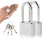 2 Cadenas de Sécurité, Cadenas à Clé Anse Longue 30mm, 40mm, 50mm, 60mm pour Casier de Gym Casier Bagages Unités de Stockage Garage Portes (30mm)