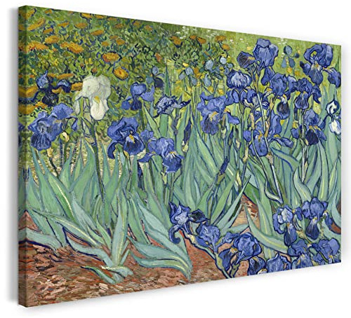 Leinwand (80x60cm): Vincent van Gogh - Schwertlilien (1889)