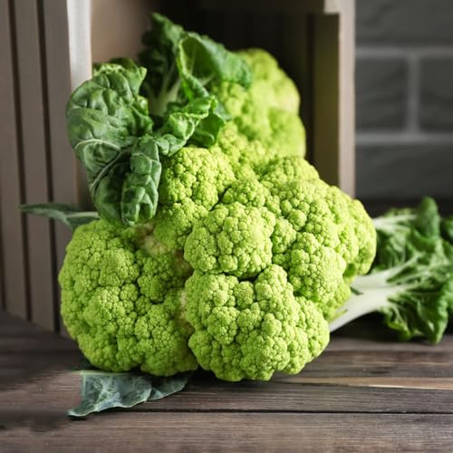 semillas de coliflor, organicas semillas de coliflor 400pcs