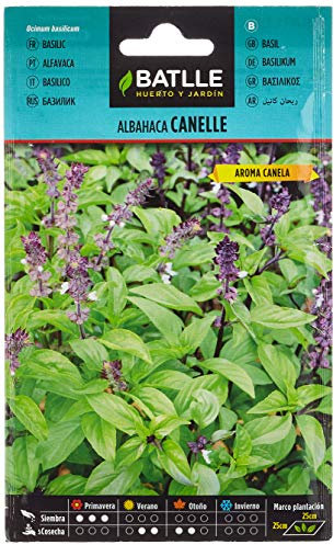 Semillas Batlle Albahaca Cannelle