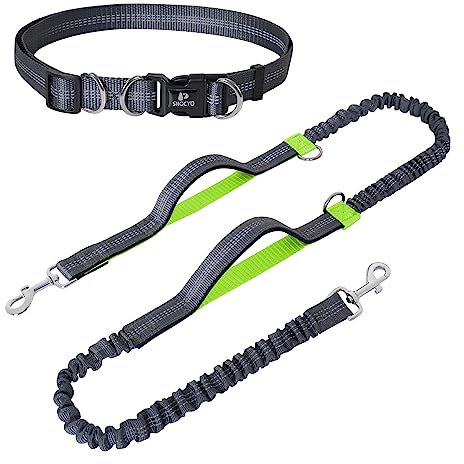 Snocyo Joggingleine Hunde, Jogging Hundeleine für Mittelgroße und Große Hunde, Elastische und Reflektierende Hundeleine, Einziehbare Laufleine mit Doppelgriff & Taillengürtel