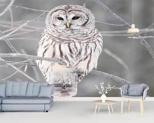 Vlies Fototapete Eule Grau 200x140 cm Art Mauer VliesTapete Wandtapete Wanddeko Wand Wohnzimmer Schlafzimmer Wohnung Wandbilder