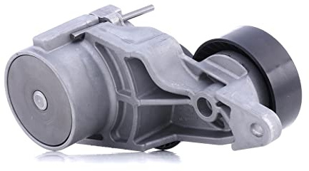 INA 534 0319 10 Galet tendeur de courroie d'accessoire | Compatible avec: VOLVO S60 I, S80 I, V70 II, XC70 I Cross Country, XC90 I