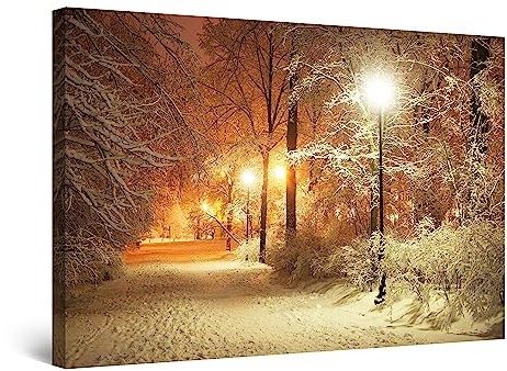Startonight Quadro su Tela Inverno Parco, Quadri Moderni Paesaggio Stampe Camere da Letto Stampe Incorniciate 60x90 cm, Decorazione Parete, Idea Regalo Elegante Luminoso al Buio