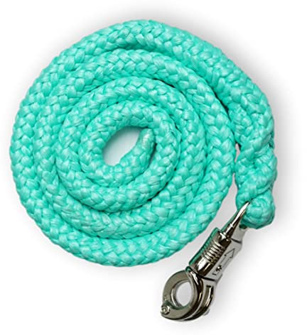 Führstrick mit Panikhaken | für Pferde, Ponys, Shetty, Esel | Anbindestrick in vielen stylischen Designs |Länge 1,60 m (Mint)