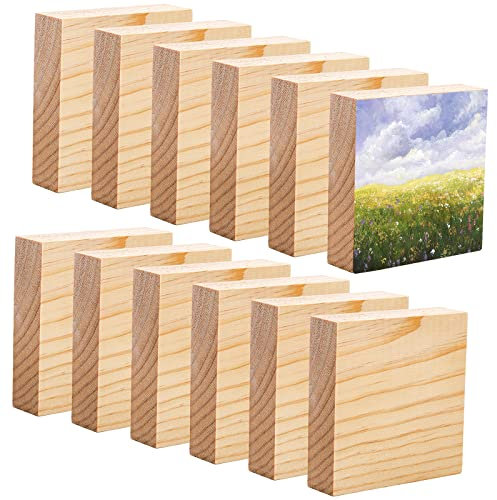 YOUEON 12 Pack Pine Wood Craft Blocks, 4x4x1 Inch Square MDF Wood Panels for Art, Painting, DIY Projects, Chip Carving