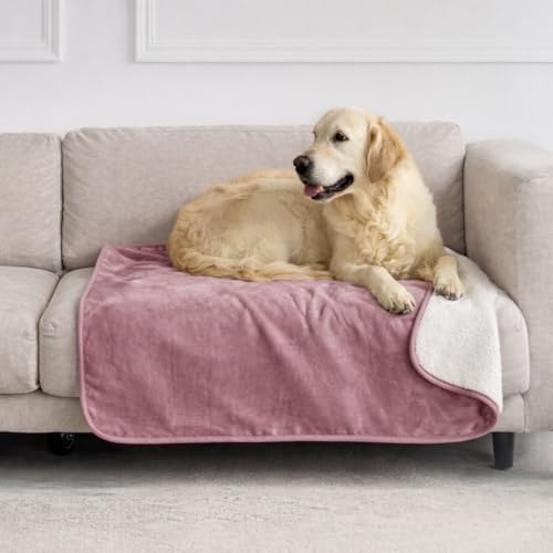 Dreamzie - Plaid Imperméable Chien 80x100 cm - Couverture Imperméable Réversible - pour Lit et Canapé Chien, en Polaire Sherpa - Lavable - Rose Clair