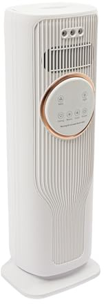 Raffreddatore ad aria, 2000 W, 3 in 1, con umidificazione e telecomando, termoventilatore con capacità di 2 l, per interni (bianco)