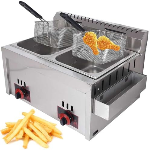 Friteuse commerciale 10L * 2, friteuse à gaz professionnelle avec plaque d'assaisonnement en acier inoxydable, grande capacité, pour la maison, la cuisine