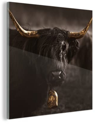 MuchoWow Glasbild Glasfoto Wandbild Bilder Deko 20x20 cm Schottischer Highlander - Gold - Kuhglocke