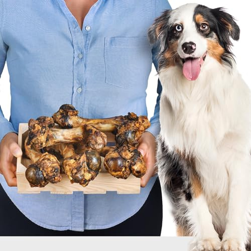 Schweineknochen für Hunde, 5 Stück (1,4kg), natürlich & Zahnpflege