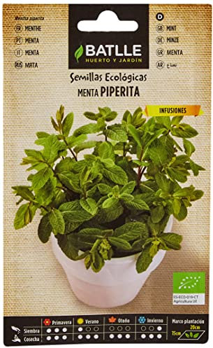Semillas Batlle Menta - Eco