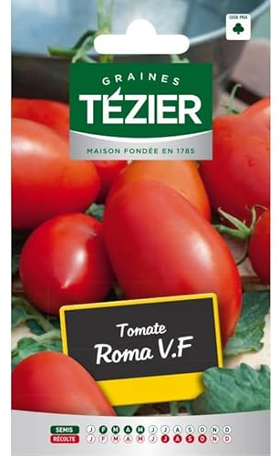 Tezier - Tomate Roma V,F