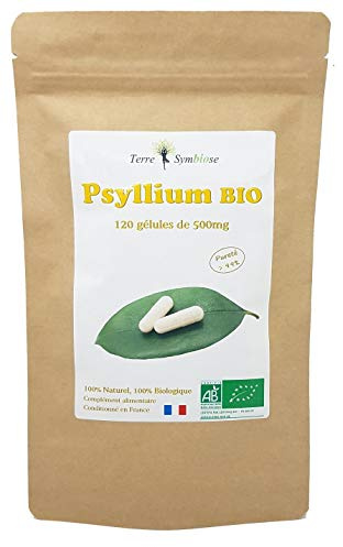 Tégument de Psyllium Bio - 120 gélules de 500 mg