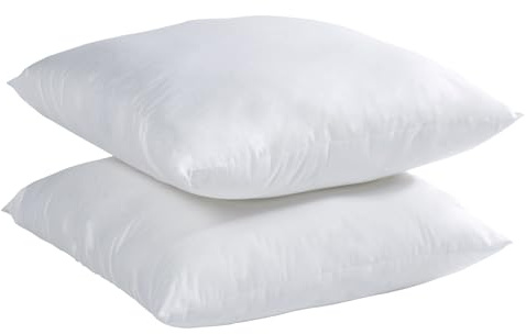 Blanrêve - Lot de 2 Oreillers Fermes Anti Acariens - Garnissage synthétique 600G - 60x60 cm - Blanc - Fabriqué en France