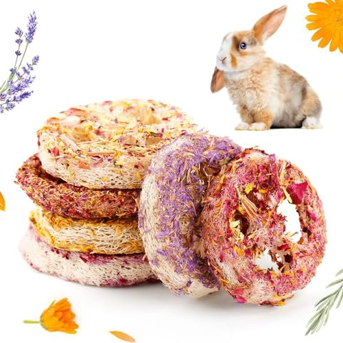 Abizoo 6 Stück Kaninchen Kauspielzeug Luffa,Natürliche Luffa mit Blütenblättern meerschweinchen Futter Hasen Spielzeug für Hamster, Kaninchen, Ratten, Chinchilla