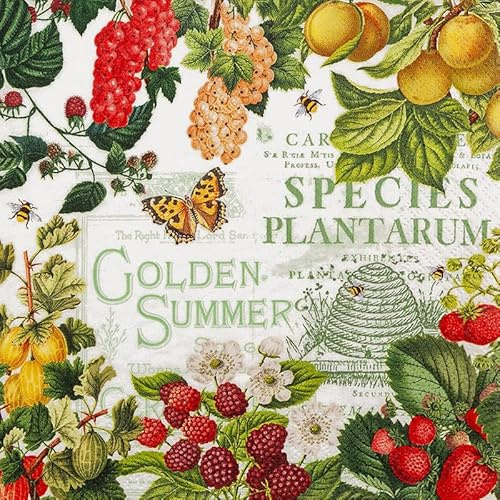 20 Servietten Sommer Früchte mit Sommerlaune als Tischdeko. Papierservietten mit Motiv. Auch für Decoupage und Serviettentechnik 33x33cm