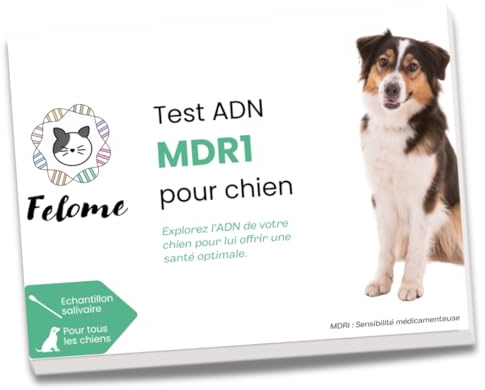 Felome Test ADN MDR1 pour Chiens – Test de Sensibilité Médicamenteuse pour Votre Chien – Résultats en 2 semaines - Test de santé Chiots et Chiens